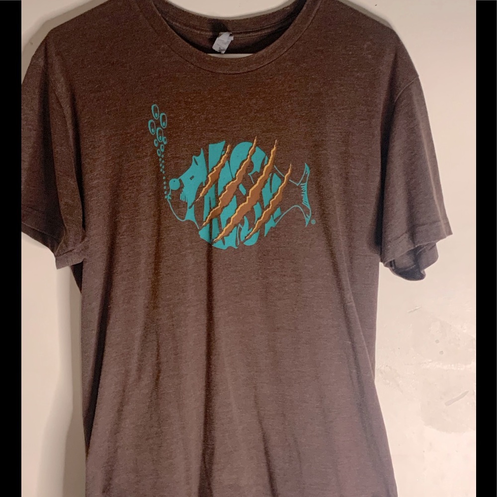 Phish summer tour 2013
